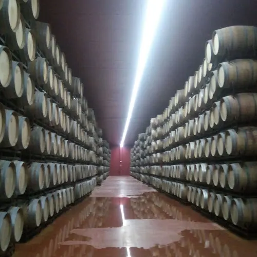 BODEGAS SEÑORÍO DE BARRIOBERO S.L.