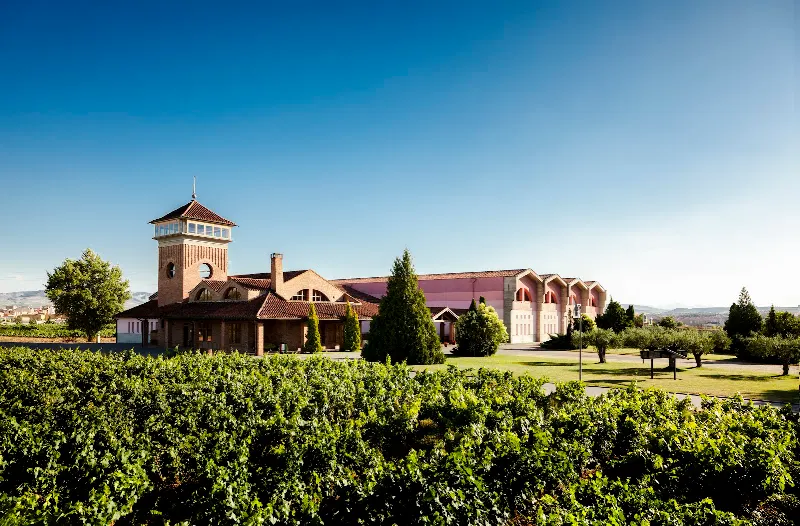 Bodegas Viña Ijalba - Logroño