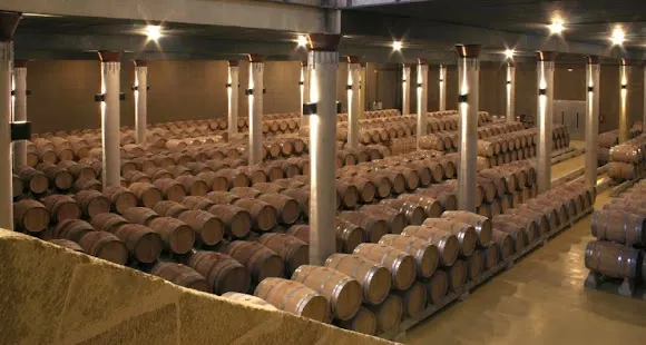 Finca Allende - Bodega en Briones