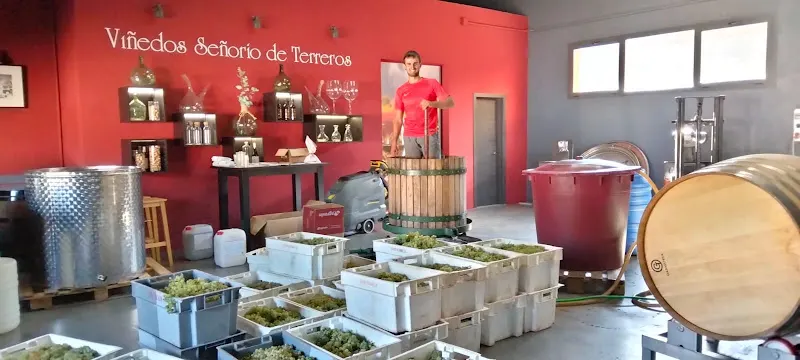 Bodega Señorío de Terreros - Cardenas