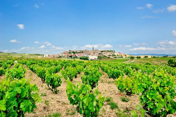 Bodegas Betolaza