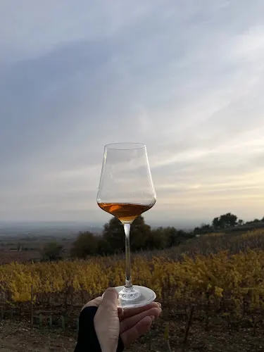 Alonso & Pedrajo Finca La Cala - Villalba de Rioja