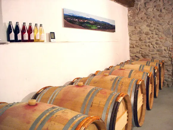 Vinos Rulei - Bodega Adrián Moreno Llorente - Badarán