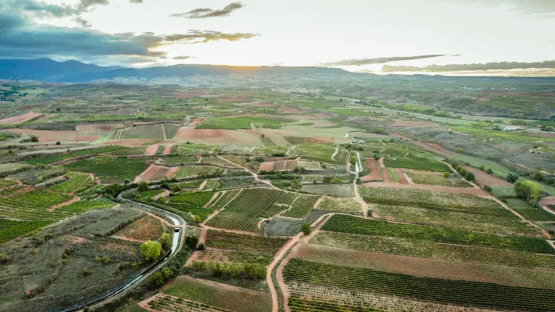 Bodegas Cuna de Reyes