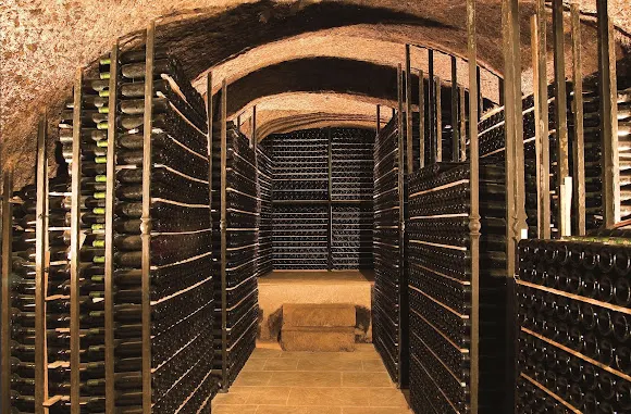 Bodegas Concejo de Ollauri - Ollauri
