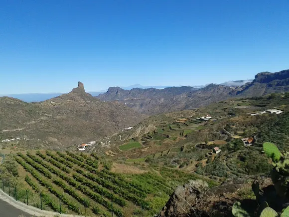Bodegas Bentayga - Tejeda