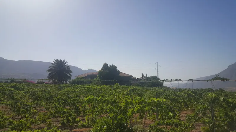 Bodegas Tunte - San Bartolomé de Tirajana