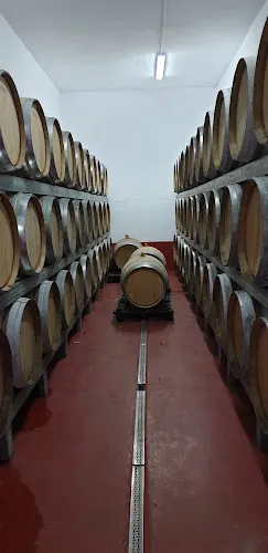 Bodegas Frontón de Oro - Vega de San Mateo