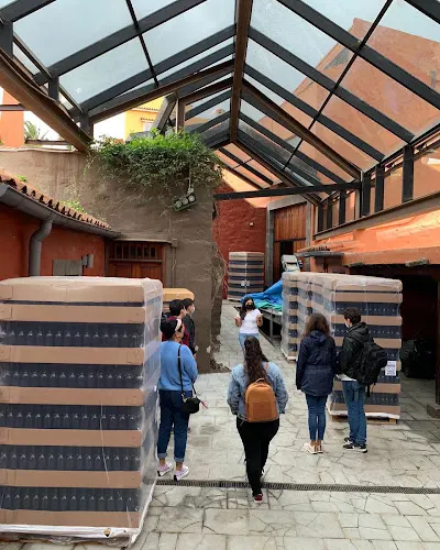 Bodega Hoyos de Bandama
