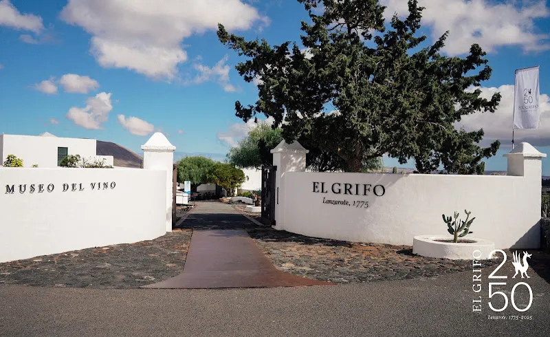 Museo del Vino El Grifo - San Bartolomé