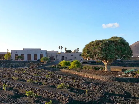 Bodegas La Florida