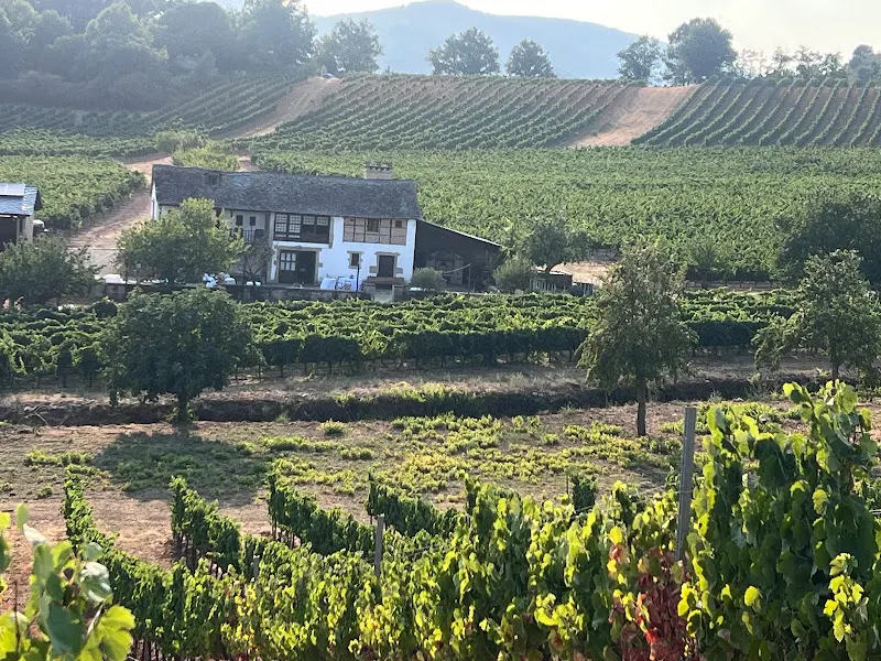 Bodegas Luna Beberide - Cacabelos