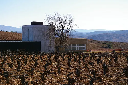 Losada Vinos De Finca SA - Cacabelos