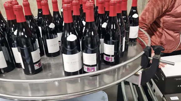 Raúl Pérez Bodegas y Viñedos