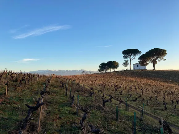 Cantariña Vinos de Familia - Villafranca del Bierzo