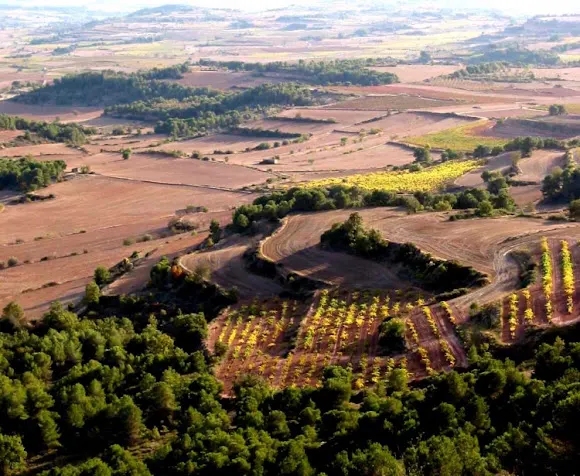 Bodega CARA NORD CELLER SL - El Vilosell