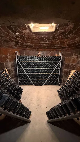 Bodega de Vino y Cava Vives Ambrós - Montferri