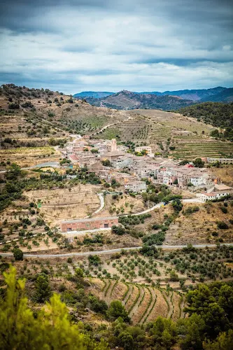 Bodegas Mas Alta S.A