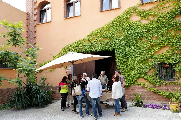 Celler Mas del Botó - Alforja