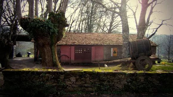Adegas e Viñedos Lareu - Sabatelius - Chantada