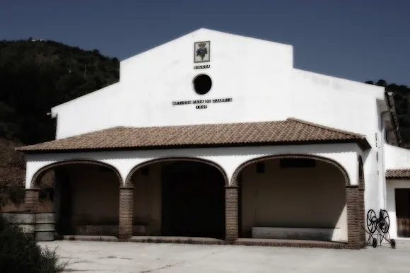 Bodega Antigua Casa de Guardia, S.L. - Málaga