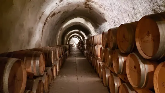 Bodegas Ramos-Paul - Ronda