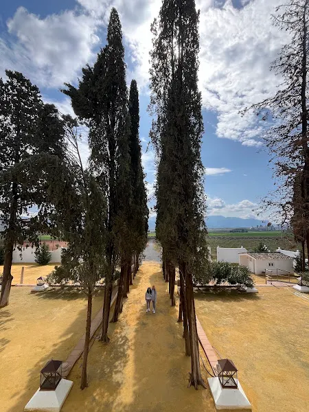CORTIJO EL SOLANO - Antequera