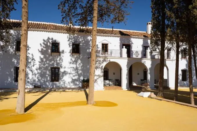 CORTIJO EL SOLANO - Bodega en Antequera - foto 2