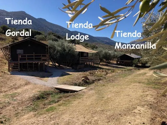 CORTIJO EL SOLANO - Bodega en Antequera - foto 3