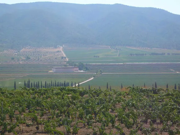 Sociedad Agrícola Viñavista SLU - Yecla