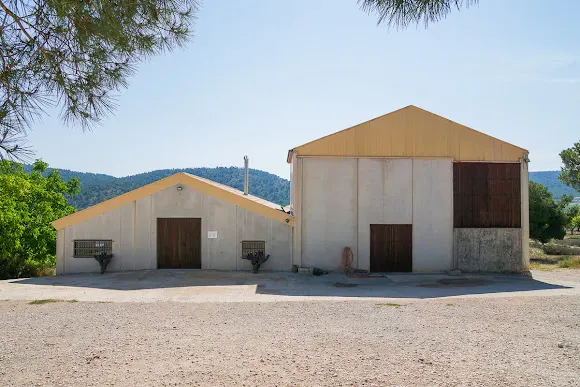 Bodega Balcona