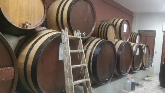 Bodega Regino - Puerto Lumbreras