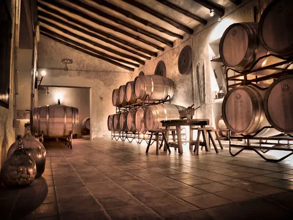 Bodegas Xenysel - Bodega DOP Jumilla - Jumilla