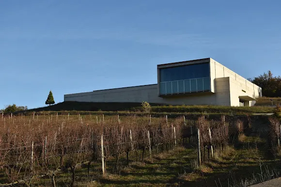 Bodega Tandem - Bodega en Villatuerta