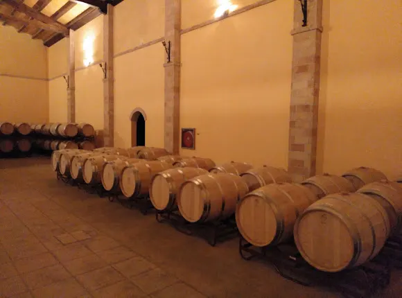 Bodegas y Viñedos Alzania - Los Arcos