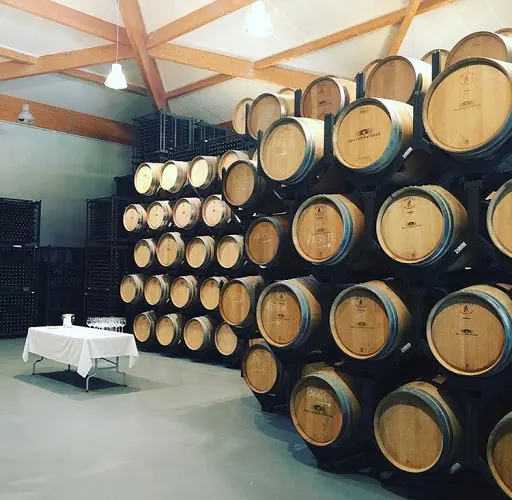 Bodegas Pago de Larrainzar - Bodega en Ayegui