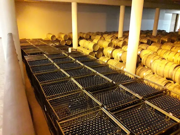 Bodega NEKEAS - Bodega en Anorbe