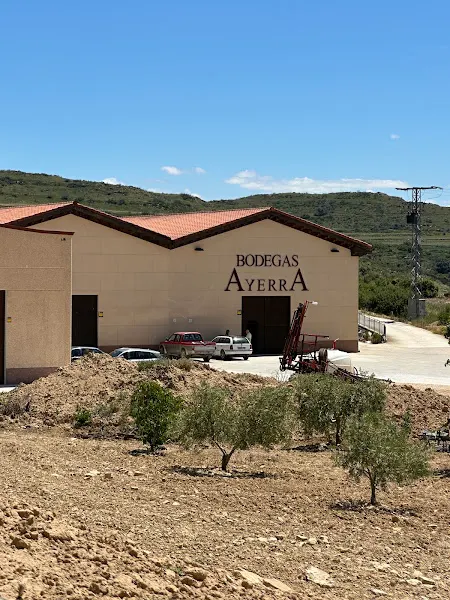 Bodegas Ayerra - San Martin de Unx