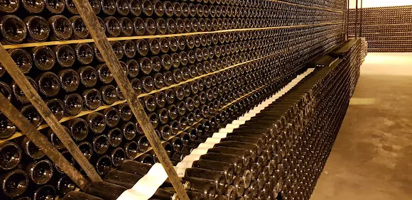 Mainegra Cava - Bodega en Mendavia