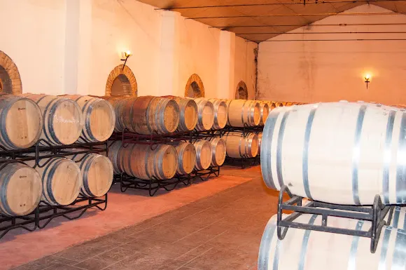 MANZANOS / Bodega - Pamplona/Iruna