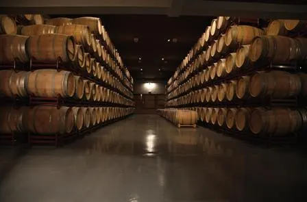 Viña Zorzal Wines