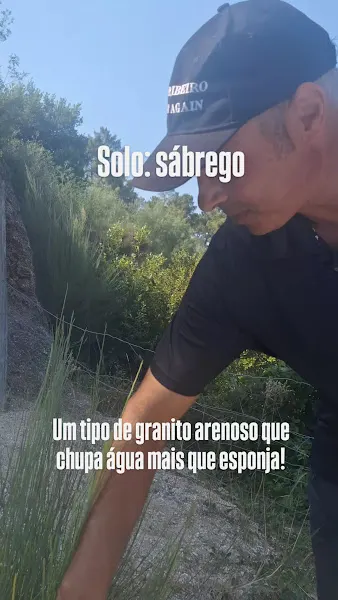 Adega Manuel Formigo - Bodega en Beade