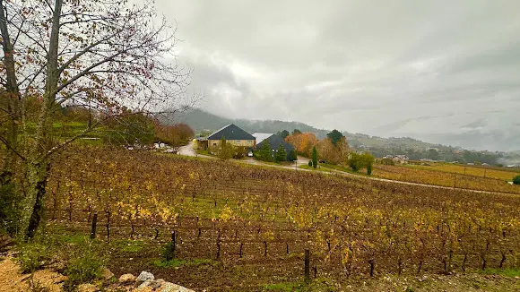 Bodegas Valdesil