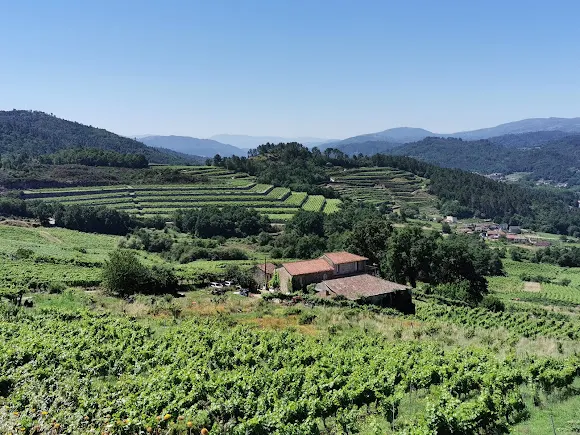 Vino Eduardo Bravo - Leiro