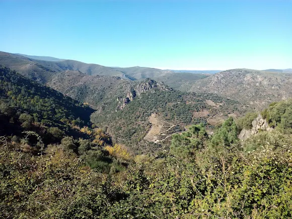 Viña Costeira Valdeorras - Larouco