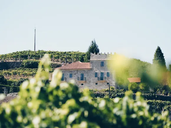 Bodegas Marqués de Vizhoja