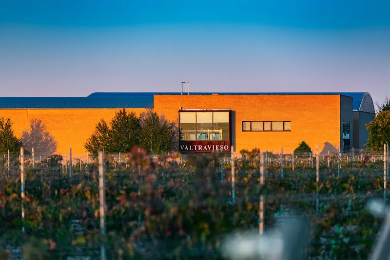Bodega Valtravieso - Pinel de Arriba