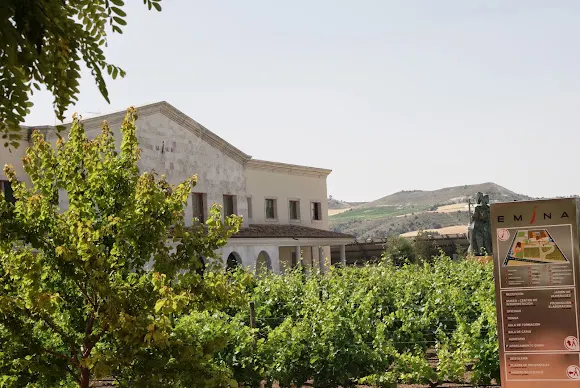 Bodega Emina Ribera del Duero