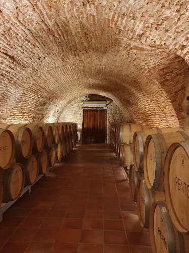 Bodega Rento - Olivares de Duero