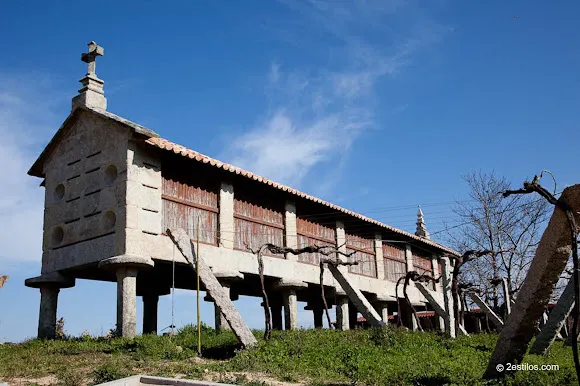 Bodega Zárate - Ribadumia